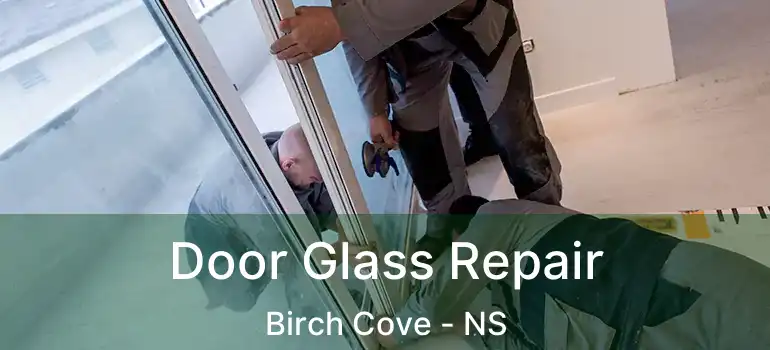  Door Glass Repair Birch Cove - NS