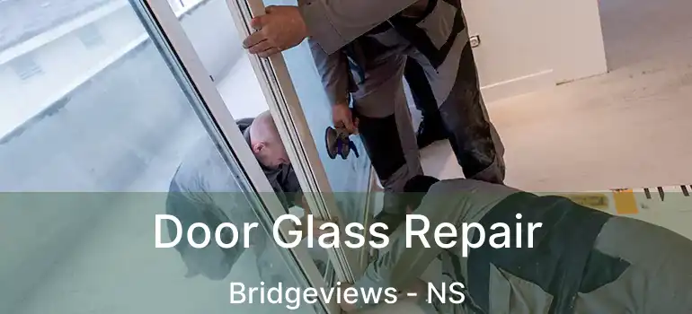  Door Glass Repair Bridgeviews - NS