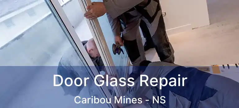  Door Glass Repair Caribou Mines - NS