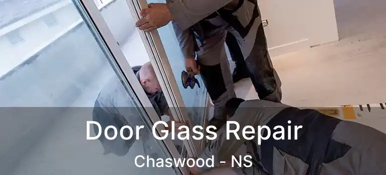  Door Glass Repair Chaswood - NS