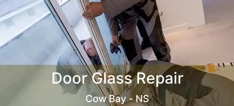  Door Glass Repair Cow Bay - NS