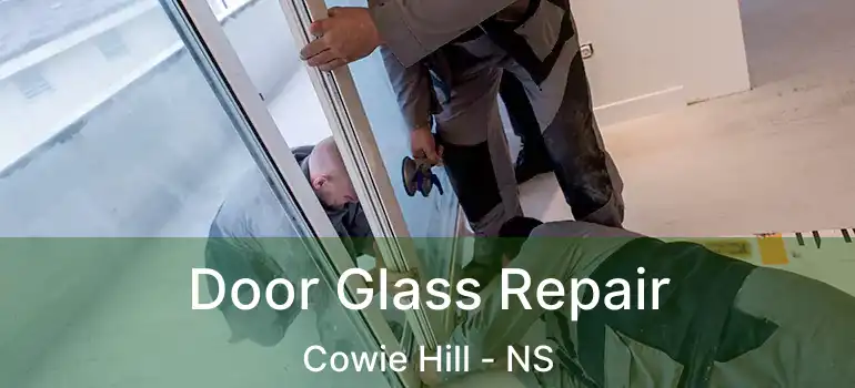  Door Glass Repair Cowie Hill - NS