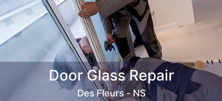  Door Glass Repair Des Fleurs - NS