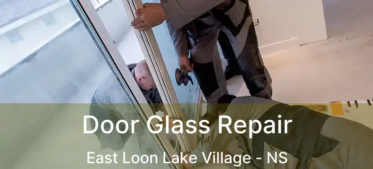  Door Glass Repair East Loon Lake Village - NS