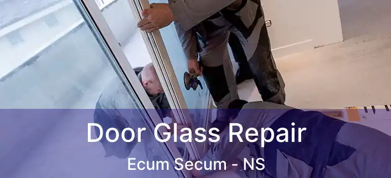  Door Glass Repair Ecum Secum - NS