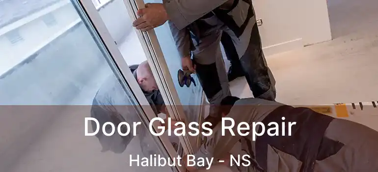  Door Glass Repair Halibut Bay - NS