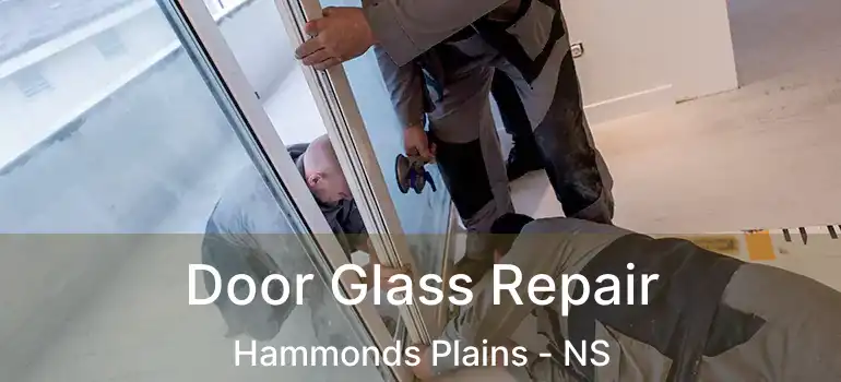  Door Glass Repair Hammonds Plains - NS