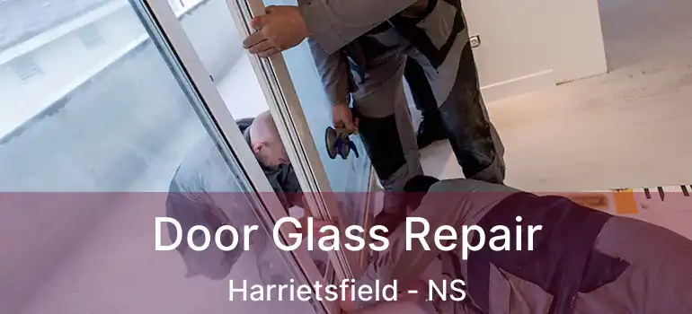  Door Glass Repair Harrietsfield - NS