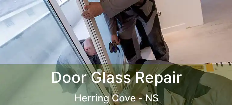  Door Glass Repair Herring Cove - NS