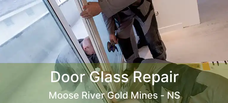  Door Glass Repair Moose River Gold Mines - NS