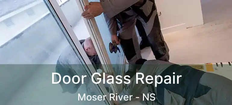  Door Glass Repair Moser River - NS