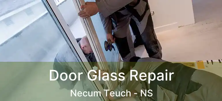  Door Glass Repair Necum Teuch - NS