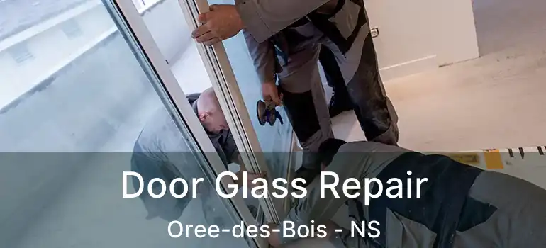  Door Glass Repair Oree-des-Bois - NS