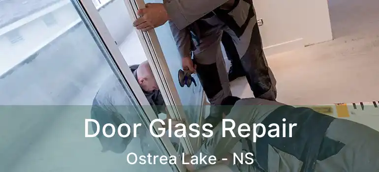  Door Glass Repair Ostrea Lake - NS