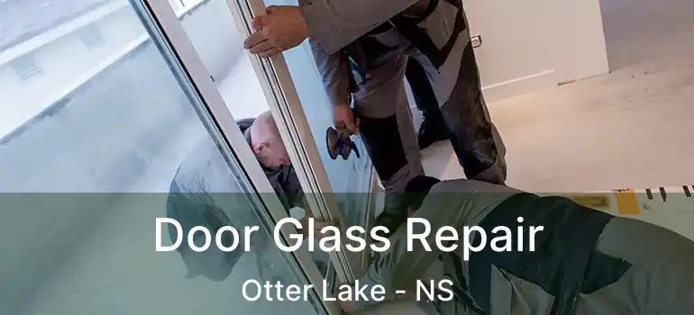  Door Glass Repair Otter Lake - NS