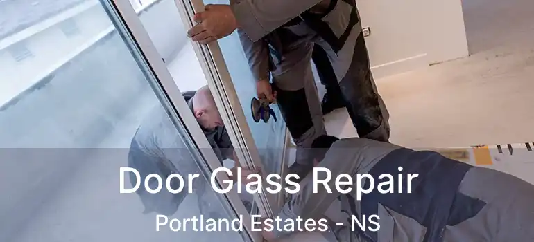  Door Glass Repair Portland Estates - NS