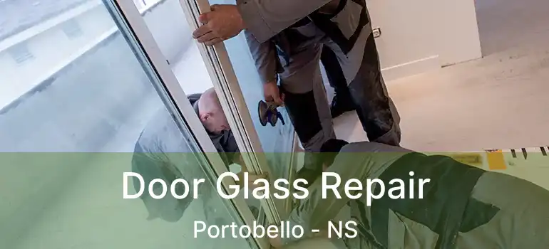  Door Glass Repair Portobello - NS