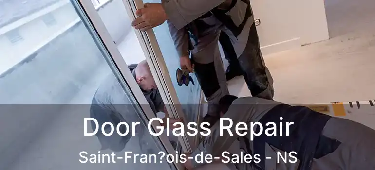  Door Glass Repair Saint-Fran?ois-de-Sales - NS