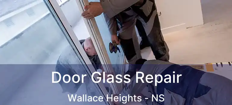  Door Glass Repair Wallace Heights - NS