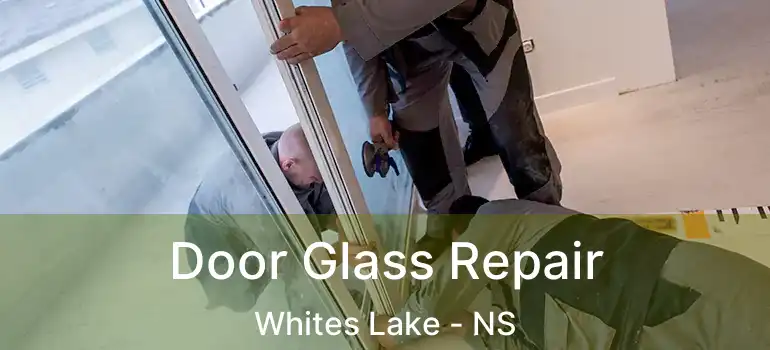  Door Glass Repair Whites Lake - NS