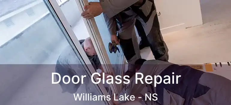  Door Glass Repair Williams Lake - NS