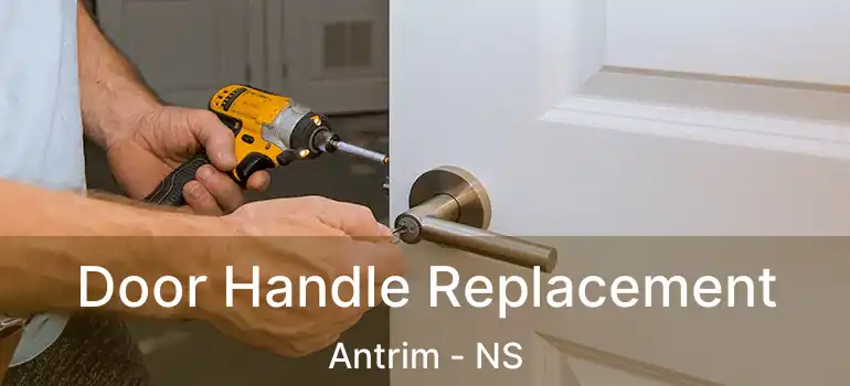  Door Handle Replacement Antrim - NS