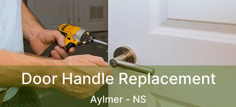  Door Handle Replacement Aylmer - NS