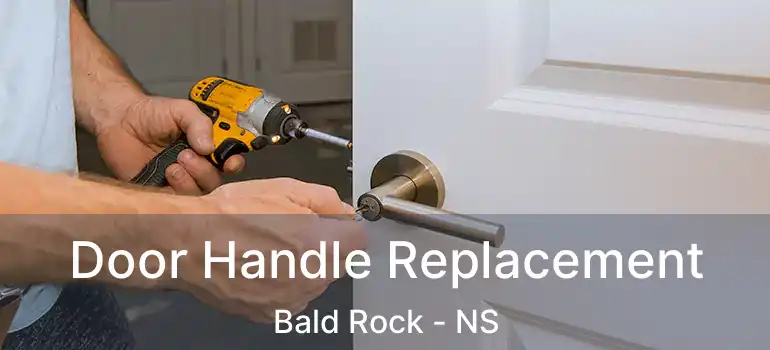  Door Handle Replacement Bald Rock - NS