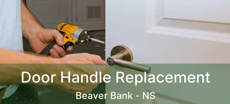  Door Handle Replacement Beaver Bank - NS