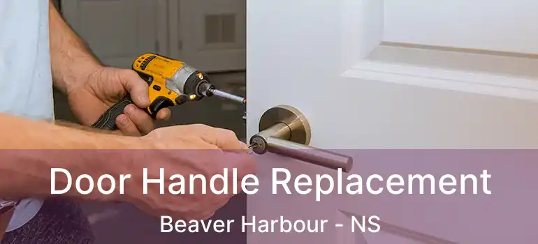  Door Handle Replacement Beaver Harbour - NS