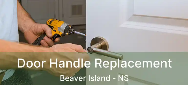  Door Handle Replacement Beaver Island - NS