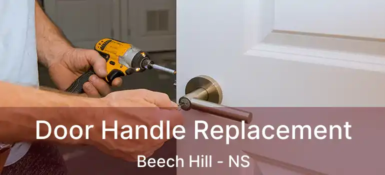  Door Handle Replacement Beech Hill - NS