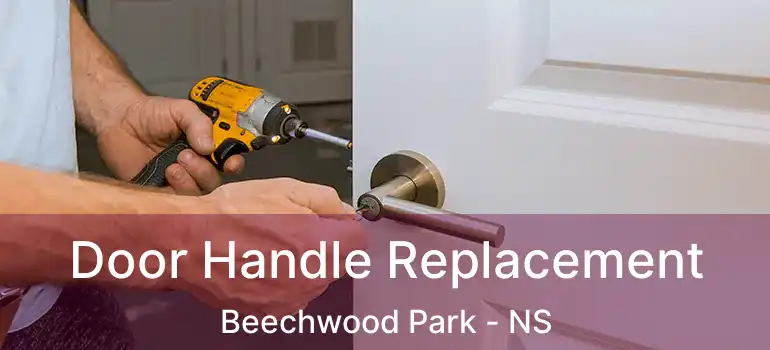  Door Handle Replacement Beechwood Park - NS