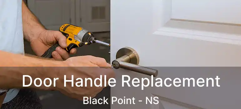  Door Handle Replacement Black Point - NS