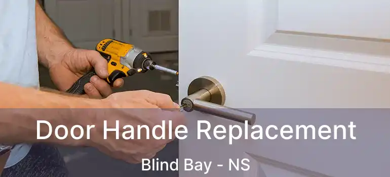  Door Handle Replacement Blind Bay - NS