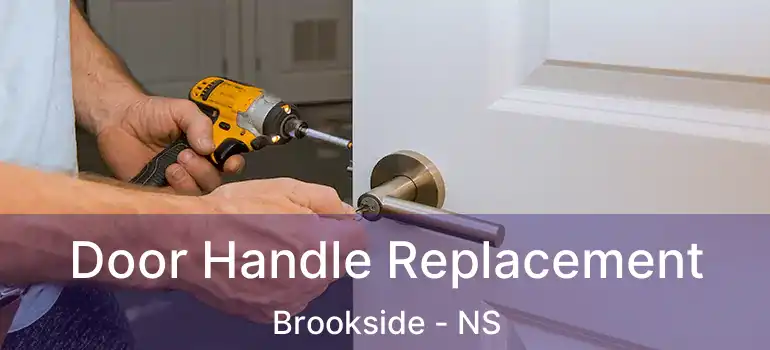  Door Handle Replacement Brookside - NS