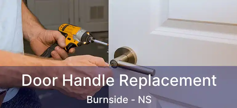  Door Handle Replacement Burnside - NS