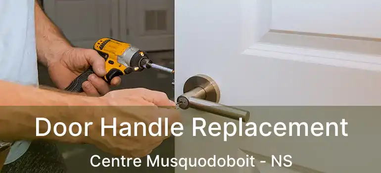  Door Handle Replacement Centre Musquodoboit - NS