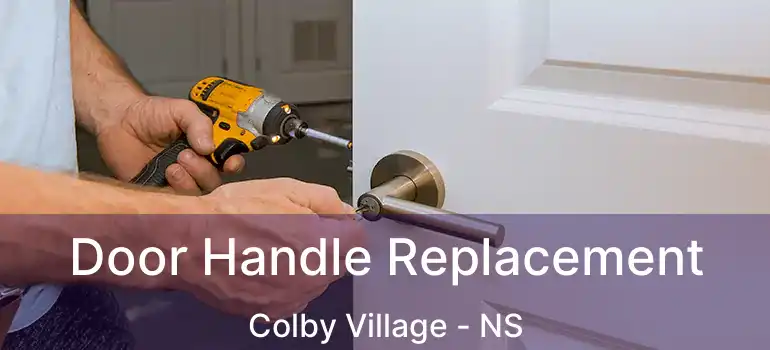  Door Handle Replacement Colby Village - NS