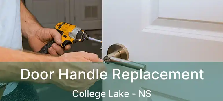  Door Handle Replacement College Lake - NS