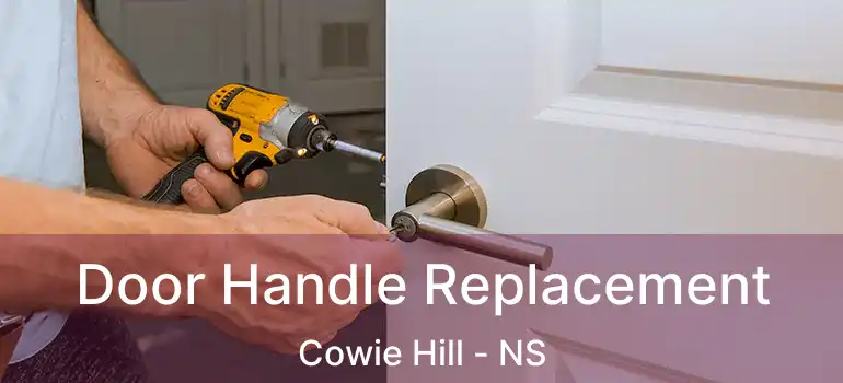  Door Handle Replacement Cowie Hill - NS