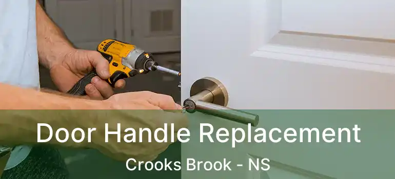  Door Handle Replacement Crooks Brook - NS