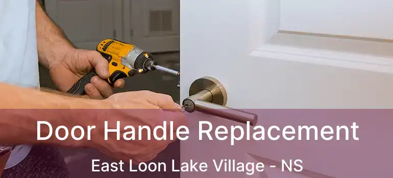  Door Handle Replacement East Loon Lake Village - NS