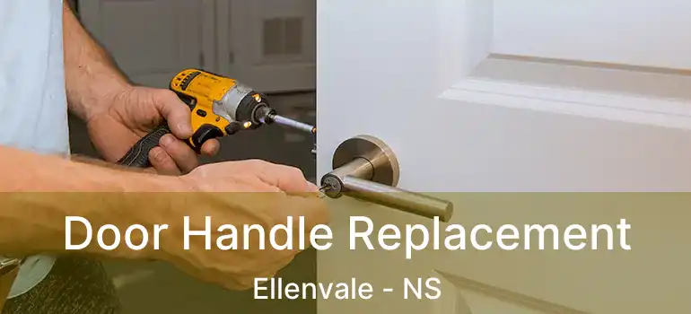  Door Handle Replacement Ellenvale - NS