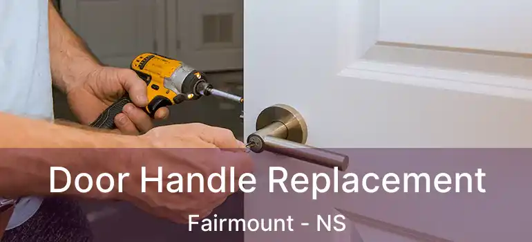  Door Handle Replacement Fairmount - NS