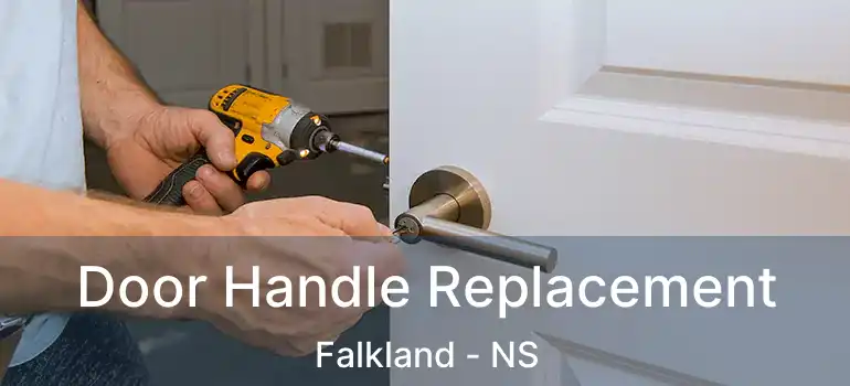  Door Handle Replacement Falkland - NS