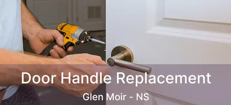  Door Handle Replacement Glen Moir - NS