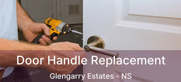  Door Handle Replacement Glengarry Estates - NS