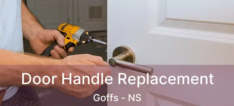  Door Handle Replacement Goffs - NS