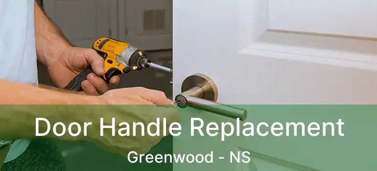  Door Handle Replacement Greenwood - NS